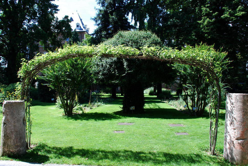 Orto Botanico_194.JPG